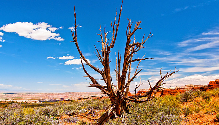 Bcyq-canyonlands-biking-7